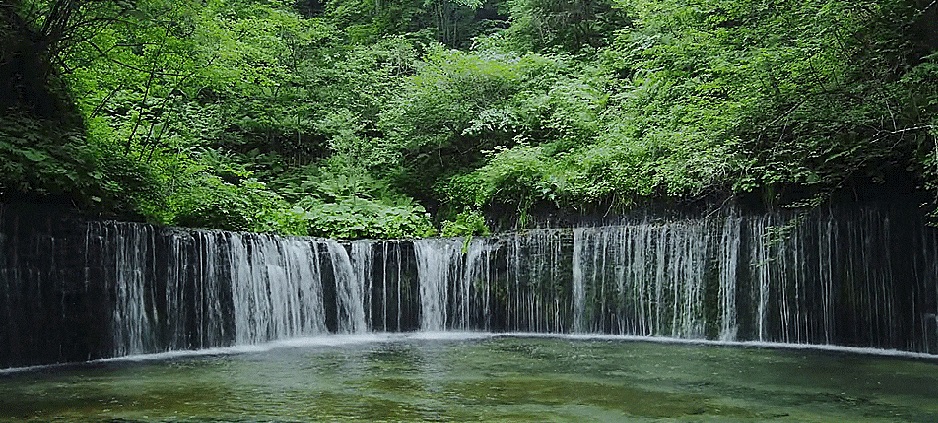 Relajante sonido de una cascada y el cantar de aves: Videos naturaleza (con audio) descargar gratis
